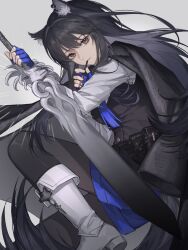 Rule 34 | 1girl, absurdres, animal ear fluff, animal ears, arknights, bag, belt, black belt, black hair, black jacket, black pantyhose, black vest, blue gloves, blue shorts, boots, closed mouth, eating, fingerless gloves, food, foot out of frame, gloves, grey background, hands up, highres, jacket, long hair, long sleeves, looking at viewer, off shoulder, official alternate costume, orange eyes, pantyhose, pocky, satchel, shirt, shorts, simple background, solo, tail, texas (arknights), texas the omertosa (arknights), vest, weimeizi, white footwear, white shirt, wolf ears, wolf girl, wolf tail