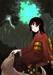 Rule 34 | ayakura juu, black hair, dog, forest, japanese clothes, juu, kimono, long hair, nature, purple eyes, sitting, solo