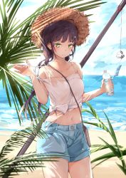 Rule 34 | 1girl, absurdres, ahoge, bag, bare arms, bare shoulders, beach, between breasts, black hair, blue sky, blurry, bottle, breasts, camisole, closed mouth, cloud, cloudy sky, collarbone, cowboy shot, crop top, day, dema hmw, denim, denim shorts, depth of field, frown, green eyes, hand up, hat, highres, holding, holding bottle, long hair, looking at viewer, midriff, navel, ocean, original, outdoors, palm leaf, plant, sand, shirt, short shorts, shorts, shoulder bag, sidelocks, sky, small breasts, solo, spaghetti strap, standing, stomach, strap pull, straw hat, sunlight, thighs, water, water bottle, white shirt, wind chime