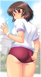 Rule 34 | 1girl, adjusting buruma, adjusting clothes, artist request, ass, breasts, brown eyes, brown hair, buruma, character request, check artist, copyright request, cowboy shot, female focus, from behind, gym shirt, gym uniform, large breasts, looking back, panties, panties under buruma, panty peek, red buruma, shirt, short sleeves, solo, source request, sweat, tanuki gakuen, tanuki yousuke, thighs, underwear, uniform, white shirt, wristband