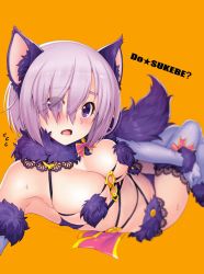 Rule 34 | 1girl, animal ears, armpits, black panties, blurry, blush, breasts, depth of field, elbow gloves, eyes visible through hair, fang, fate/grand order, fate (series), from above, fur-trimmed gloves, fur-trimmed legwear, fur trim, gloves, hair over one eye, halloween costume, highres, kazuma muramasa, lace, lace-trimmed legwear, lace trim, large breasts, mash kyrielight, mash kyrielight (dangerous beast), navel, o-ring, o-ring top, official alternate costume, open mouth, panties, purple eyes, purple hair, red ribbon, revealing clothes, ribbon, short hair, simple background, sitting, skindentation, solo, sweat, tail, thighhighs, underwear, wolf ears, wolf tail
