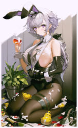 Rule 34 | 1girl, absurdres, animal ears, azur lane, bare shoulders, bikini, bikini under clothes, black bikini, black footwear, black gloves, black hairband, black neckwear, black pantyhose, blush, bottle, bow, bowtie, breasts, checkered floor, closed mouth, corset, cream, creature, crop top, cup, drink, drinking glass, elbow gloves, fake animal ears, food on body, food on breasts, gloves, hairband, high heels, highres, holding, holding cup, large breasts, long hair, looking at viewer, low ponytail, manjuu (azur lane), necktie, nike (nike1060), official alternate costume, on floor, pantyhose, plant, potted plant, purple eyes, rabbit ears, reno (azur lane), reno (reno bunnino) (azur lane), see-through, shoes, unworn shoes, sideboob, silver hair, sitting, swimsuit, thigh strap, wariza, white bow, white bowtie, wrist cuffs