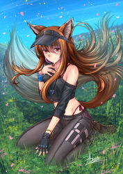 Rule 34 | 1girl, adsouto, animal ear fluff, animal ears, artist name, asymmetrical gloves, black gloves, black pants, blue sky, bracelet, brown hair, casual, collarbone, day, earrings, fingerless gloves, floating hair, full body, gloves, grass, hair between eyes, highleg, highleg panties, highres, holo, jewelry, long hair, midriff, off shoulder, outdoors, panties, pants, red eyes, red panties, shiny skin, shoes, side-tie panties, signature, single glove, sitting, sky, sneakers, solo, spice and wolf, stomach, tail, underwear, uneven gloves, very long hair, visor cap, wariza, wolf ears, wolf tail, wristband
