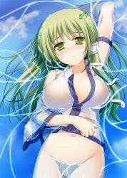 Rule 34 | 1girl, arm up, blush, bottomless, breasts, detached sleeves, female focus, frog, green eyes, green hair, groin, hair ornament, hair tubes, ippan hei(blood-blood), kochiya sanae, large breasts, long hair, matching hair/eyes, navel, nipples, no bra, see-through, snake, solo, submerged, touhou, water, wet, wet clothes