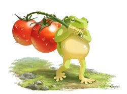 Rule 34 | 1other, commentary request, food, frog, grass, hachiya shohei, highres, holding, holding food, original, personification, solo, standing, tomato, walking