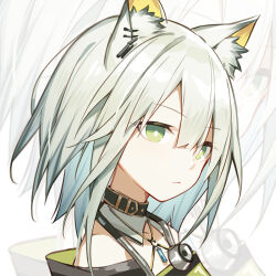 Rule 34 | 1girl, animal ear fluff, animal ears, arknights, cat ears, chibi, chibi only, chinese commentary, collar, commentary request, ear piercing, expressionless, green eyes, kal&#039;tsit (arknights), looking at viewer, off shoulder, photoshop (medium), piercing, portrait, quan (kurisu tina), short hair, solo, white hair, zoom layer