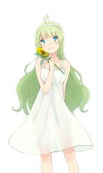 Rule 34 | 1girl, ahoge, aqua eyes, arm behind back, bare arms, blunt bangs, bow, camisole, closed mouth, commentary request, cowboy shot, dress, eyelashes, flower, green hair, hair bow, hairband, holding, holding flower, idolmaster, idolmaster million live!, light blush, long hair, looking at viewer, medium dress, pink lips, see-through, see-through dress, shimabara elena, smile, solo, spaghetti strap, straight-on, sunflower, wavy hair, white background, white bow, white camisole, white dress, white hairband, witoi (roa)