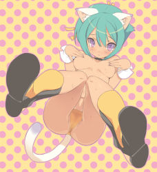 Rule 34 | 10s, 1girl, animal ears, aqua hair, aquarion (series), aquarion evol, bad id, bad pixiv id, blade (galaxist), blush, breasts, cat ears, cat tail, covering nipples, covering privates, looking at viewer, outline, panties, polka dot, polka dot background, purple eyes, short hair, solo, sweat, tail, tears, topless, underwear, zessica wong