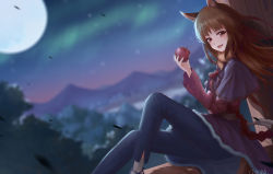 Rule 34 | 1girl, animal ears, apple, artist request, blurry, blurry background, brown hair, fang, food, fruit, highres, holding, holding food, holding fruit, holo, long hair, looking at viewer, mountainous horizon, night, night sky, open mouth, pouch, red eyes, sitting, sky, solo, spice and wolf, tail, wind, wolf ears, wolf tail