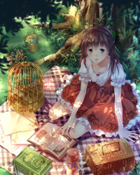 Rule 34 | 1girl, arm support, belt, birdcage, blanket, book, brown eyes, brown hair, cage, collarbone, dappled sunlight, day, dress, frilled dress, frills, from above, grass, looking at viewer, open book, open mouth, original, outdoors, picnic, picnic basket, plant, potted plant, puffy short sleeves, puffy sleeves, short sleeves, sitting, solo, sunlight, thermos, tree, yasuno (airy light), yokozuwari