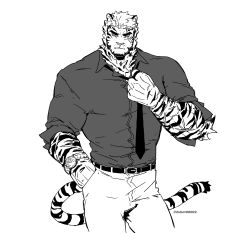 Rule 34 | 1boy, adjusting clothes, adjusting necktie, alternate costume, animal ears, arknights, bad id, bad twitter id, bara, cropped legs, formal, frown, furry, furry male, greyscale, highres, looking at viewer, male focus, monochrome, mountain (arknights), muscular, muscular male, necktie, pectorals, salaryman, scar, scar across eye, scar on face, short hair, sigppang (2shot00002), sleeves rolled up, solo, tiger boy, tiger ears, white fur, white hair
