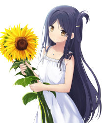 Rule 34 | abe kanari, bare arms, bare shoulders, black hair, blush, breasts, brown eyes, closed mouth, copyright request, dress, flower, hair ornament, hairclip, holding, holding flower, long hair, looking at viewer, simple background, sleeveless, sleeveless dress, small breasts, smile, solo, sunflower, very long hair, white background, white dress, yellow flower