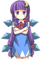 Rule 34 | 1girl, :&lt;, bow, cirno, cirno (cosplay), cosplay, crescent, crescent hair ornament, crossed arms, gaoo (frpjx283), hair bow, hair ornament, highres, ice, ice wings, long hair, patchouli knowledge, purple eyes, purple hair, solo, touhou, very long hair, white background, wings