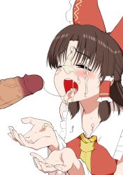 Rule 34 | 1girl, absurdres, benikurage (cookie), blush, bow, brown eyes, brown hair, commentary request, cookie (touhou), cum, cum in mouth, facial, frilled bow, frilled hair tubes, frilled shirt collar, frills, hair bow, hair tubes, hakurei reimu, highres, looking at penis, medium hair, open mouth, parted bangs, penis, red bow, red shirt, remote controller 4, shirt, simple background, touhou, uncensored, upper body, white background, yellow neckwear