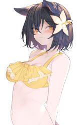 Rule 34 | 1girl, animal ears, arknights, arms behind back, bikini, black hair, blush, breasts, cat ears, cat girl, cat tail, cleavage, flower, hair between eyes, hair flower, hair ornament, kochiya (gothope), looking at viewer, medium breasts, rockrock (arknights), short hair, simple background, smile, solo, swimsuit, tail, upper body, white background, white flower, yellow bikini, yellow eyes