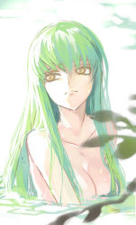 Rule 34 | 1girl, breasts, c.c., cleavage, code geass, completely nude, creayus, green hair, long hair, nude, nudist, partially submerged, skinny dipping, solo, swimming, yellow eyes, zenra