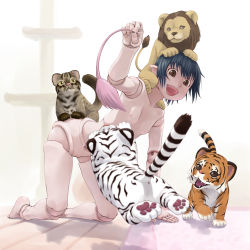 Rule 34 | 1girl, black hair, breasts, brown eyes, cat teaser, clouded leopard, conjoh, doll joints, flat chest, joints, leopard, lion, nipples, nude, pointy ears, short hair, small breasts, tiger