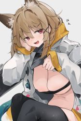 Rule 34 | 1girl, animal ears, areola slip, arknights, black thighhighs, blush, breasts, brown hair, clothes lift, commentary, eyebrows hidden by hair, eyelashes, fang, feet out of frame, flashing, grey background, grey shirt, hair between eyes, hair intakes, hair ornament, hairclip, head rest, highres, jacket, jitome, large breasts, lifted by self, looking at viewer, medium hair, mikozin, open clothes, open jacket, open mouth, red eyes, shirt, shirt lift, simple background, sitting, smile, solo, tail, thighhighs, translated, utage (arknights), white jacket