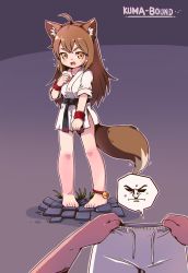 Rule 34 | 1girl, 1other, ahoge, animal ear fluff, animal ears, ankle rope, artist name, barefoot, bell, belt, black belt, blush, brown eyes, brown hair, clenched hands, clothes theft, dougi, embarrassed, fang, feet, flying sweatdrops, fox ears, fox girl, fox tail, full body, grey background, highres, jingle bell, kuma-bound, legs, long hair, looking at viewer, no pants, open mouth, original, pants, unworn pants, shirt, simple background, sleeves rolled up, tail, theft, thighs, toes, watermark, white pants, white shirt, wristband