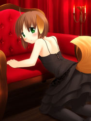 Rule 34 | 1girl, animal ears, back, black dress, black pantyhose, brown hair, candle, couch, curtains, dog ears, dog tail, dress, green eyes, inuarashi, meiko (inuarashi), original, pantyhose, red curtains, red upholstery, solo, tail, wooden floor