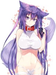 Rule 34 | 1girl, animal ears, bad id, bad pixiv id, bare arms, bare shoulders, breasts, collar, cowboy shot, hair between eyes, highres, impossible clothes, large breasts, long hair, looking at viewer, navel, original, panties, purple eyes, purple hair, red collar, solo, stomach, suminagashi, tail, taut clothes, underwear, very long hair, white background, white legwear, white panties, wide hips, wolf ears, wolf tail