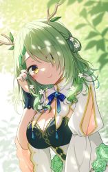Rule 34 | 1girl, absurdres, antlers, blush, braid, branch, breasts, ceres fauna, cleavage, dress, flower, flower ornament, furuneo10, green flower, green hair, green rose, hair flower, hair ornament, hand in own hair, highres, hololive, hololive english, horns, large breasts, leaf, looking at viewer, looking to the side, nature, outdoors, rose, shadow, smile, solo, sunlight, virtual youtuber, wavy hair, yellow eyes