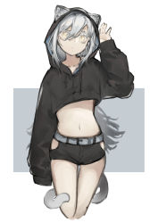 Rule 34 | 1girl, absurdres, alternate costume, animal ear fluff, animal ears, arknights, arm at side, arm up, belt, cat ears, cat girl, cat tail, closed mouth, colored eyelashes, crop top, cropped hoodie, cropped legs, drawstring, ears through headwear, grey background, hair between eyes, highres, hood, hood up, hoodie, koane k, long hair, looking at viewer, midriff, navel, ponytail, schwarz (arknights), silver hair, solo, stomach, tail, thigh gap, two-tone background, very long hair, yellow eyes