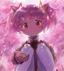 Rule 34 | 1girl, animal, autumn (ota mn), backlighting, blurry, branch, cat, cherry blossoms, closed mouth, dappled sunlight, day, depth of field, dot nose, eye reflection, feet out of frame, flower, from below, hair ribbon, hand on own knee, happy, high collar, juliet sleeves, kaname madoka, kneeling, knees together feet apart, light blush, long sleeves, looking at viewer, mahou shoujo madoka magica, mahou shoujo madoka magica (anime), mitakihara school uniform, neck ribbon, outdoors, outstretched hand, petals, pink eyes, pink flower, pink hair, pink theme, puffy sleeves, reaching, reaching towards viewer, red ribbon, reflection, ribbon, school uniform, signature, skindentation, smile, solo, spring (season), sunlight, tareme, thighhighs, tree, twintails, uniform, white thighhighs, zettai ryouiki