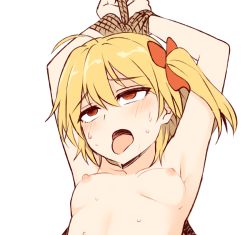 Rule 34 | 1girl, ahegao, armpits, arms up, blonde hair, bound, bound wrists, breasts, collarbone, commentary request, dashed eyes, empty eyes, flandre scarlet, hair between eyes, medium breasts, miyo (ranthath), nipples, nude, open mouth, red eyes, rolling eyes, rope, side ponytail, simple background, solo, sweat, tongue, tongue out, touhou, upper body, white background