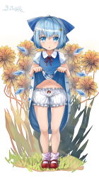 Rule 34 | 1girl, :o, absurdres, ahoge, alternate hairstyle, bad id, bad pixiv id, bare legs, bloomers, blue bow, blue dress, blue eyes, blue hair, blue wings, bow, braid, cirno, clothes lift, collared shirt, dress, dress lift, flower, full body, grass, hair between eyes, hair bow, hair flower, hair ornament, highres, hxj (2324184595), ice, ice wings, lifting own clothes, looking at viewer, mary janes, navel, neck ribbon, puffy short sleeves, puffy sleeves, red footwear, red ribbon, ribbon, shirt, shoes, short eyebrows, short hair, short sleeves, simple background, socks, solo, standing, sunflower, thick eyebrows, touhou, underwear, white background, white bloomers, white shirt, white socks, wing collar, wings