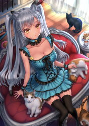 Rule 34 | 1girl, :o, ai-boushi tabibito, animal ears, ball, bell, black thighhighs, blue dress, book, book stack, bow, bowl, breasts, brown eyes, cake, cat, cat ears, cat tail, chair, cleavage, collar, collarbone, colored eyelashes, cup, curtains, dessert, detached collar, dress, food, frills, from above, highres, indoors, knees together feet apart, long hair, looking at viewer, looking up, neck bell, original, pet bowl, plate, saucer, silver hair, sitting, sleeveless, sleeveless dress, solo, swept bangs, table, tail, tea, teacup, thighhighs, twintails, two side up, window, wooden floor, wrist cuffs, yellow eyes, youbou