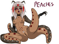 Rule 34 | absurdres, alien, antennae, anus, arthropod girl, breasts, choker, claws, colored sclera, cpt.tester works, full body, grey sclera, highres, long hair, midriff, nipples, on floor, peaches (cpt.tester), presenting, presenting pussy, pubic hair, pussy, red eyes, sharp teeth, shell, sitting, small breasts, tattoo, teeth, white hair
