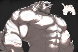 Rule 34 | 1boy, abs, alternate facial hair, alternate muscle size, alternate pectoral size, animal ears, ariyakonsuay, arknights, bara, beard, blank eyes, blue eyes, chibi, chibi inset, facial hair, fluffy, frown, furry, furry male, highres, hissing, large pectorals, looking to the side, male focus, mature male, mountain (arknights), muscular, muscular male, navel, nipples, no nipples, nude, pectorals, short hair, sideburns, slit pupils, stomach, tail raised, thick eyebrows, tiger boy, tiger ears, unfinished, upper body, white fur