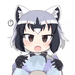 Rule 34 | animal ear fluff, animal ears, animated, animated gif, black hair, blush, bow, bowtie, brown eyes, common raccoon (kemono friends), electric fan, fang, kemono friends, multicolored hair, open mouth, short hair, silver hair, simple background, solo, taro, white background