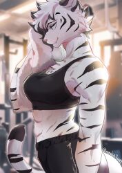 Rule 34 | 1girl, abs, absurdres, animal ears, black fur, black hair, black pants, black sports bra, blurry, blurry background, breasts, depth of field, from side, furry, furry female, highres, indoors, large breasts, multicolored hair, muscular, muscular female, nonoka917, original, pants, short hair, solo, sports bra, tail, tiger ears, tiger girl, tiger tail, two-tone hair, white fur, white hair, wiping face, wiping sweat, workout clothes