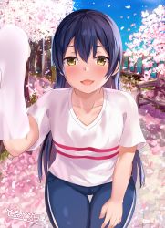 Rule 34 | 1girl, artist name, artist request, blue hair, blue pants, blue sky, blush, breasts, bridge, brown eyes, cloud, collarbone, day, denim, female focus, hair between eyes, hand on own knee, highres, holding, holding towel, jeans, long hair, looking at viewer, love live!, love live! school idol festival, love live! school idol project, outdoors, pants, parted lips, petals, pink lips, pink petals, shirt, short sleeves, sky, small breasts, smile, solo, sonoda umi, sweatdrop, towel, white shirt, white towel, yellow eyes