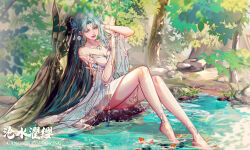 Rule 34 | 1girl, absurdres, artist request, bare legs, bare shoulders, barefoot, blue hair, butterfly hair ornament, detached sleeves, douluo dalu, dress, grass, hair ornament, highres, koi, long hair, open mouth, outdoors, ripples, rock, second-party source, sitting, smile, solo, tang wutong (douluo dalu), teeth, tree, water, white dress