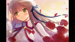 Rule 34 | 10s, 1girl, absurdres, bad id, bad pixiv id, brown hair, flower, hareno chiame, highres, letterboxed, long hair, petals, red flower, red rose, rewrite, rose, rose petals, senri akane, solo, yellow eyes