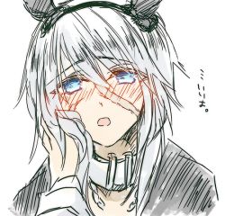 Rule 34 | animal ears, blue eyes, blush, coat, fate/grand order, fate (series), mary read (fate), open mouth, scar, short hair, silver hair