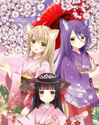 Rule 34 | 3girls, :d, :o, ahoge, animal ears, blunt bangs, blush, brown eyes, cherry blossoms, commentary request, fang, floral print, fox ears, hair between eyes, hair ribbon, highres, holding, holding umbrella, japanese clothes, kimono, konohana kitan, light brown hair, long hair, long sleeves, looking at viewer, multiple girls, obi, oil-paper umbrella, open mouth, outstretched arms, parted lips, petals, pink kimono, print kimono, purple hair, purple kimono, red kimono, red ribbon, red umbrella, ribbon, ryoutan, sakura (konohana kitan), sash, satsuki (konohana kitan), smile, spread arms, umbrella, very long hair, wide sleeves, yuzu (konohana kitan)