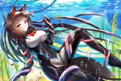 Rule 34 | 1girl, air bubble, animal ears, blurry, blurry background, bodysuit, breasts, brown hair, bubble, covered navel, day, diving suit, fish, floating hair, highres, imaizumi kagerou, impossible bodysuit, impossible clothes, jewelry, large breasts, legs apart, long hair, looking at viewer, multicolored hair, nekoda (maoda), pendant, red eyes, skin tight, smile, solo, streaked hair, tail, tentacles, touhou, underwater, wetsuit, wolf ears, wolf tail