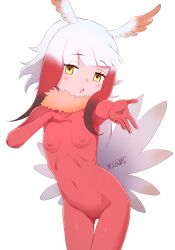 Rule 34 | 1girl, bird tail, bird wings, blunt bangs, blush, bodystocking, breasts, brown eyes, cameltoe, cleft of venus, commentary, covered erect nipples, fur collar, gloves, gradient hair, hand on own chest, head wings, highres, japanese crested ibis (kemono friends), kemono friends, kemono friends 3, long hair, long sleeves, looking at viewer, masuyama ryou, multicolored hair, music, navel, nipples, open mouth, outstretched arm, pantyhose, pussy, red bodystocking, red gloves, red hair, red pantyhose, sidelocks, simple background, singing, skirt, small breasts, solo, tail, thigh gap, white background, white hair, wings, yellow eyes