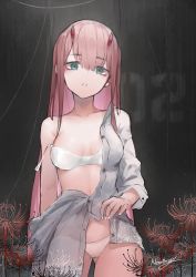 Rule 34 | 1girl, absurdres, bra, commentary, cowboy shot, darling in the franxx, english commentary, eyeliner, fingernails, floral print, flower, green eyes, grey background, grey shirt, head tilt, highres, horns, lily (flower), long hair, looking at viewer, makeup, nail polish, neonbeat, panties, parted lips, pink hair, red flower, shirt, signature, single bare shoulder, solo, spider lily print, standing, unbuttoned, unbuttoned shirt, underwear, very long hair, white bra, white nails, white panties, zero two (darling in the franxx)