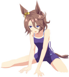 Rule 34 | 1girl, animal ears, arm support, bare arms, bare shoulders, blue one-piece swimsuit, brown hair, colored eyelashes, hair between eyes, horse ears, horse girl, horse tail, leaning forward, messy hair, narita taishin (umamusume), one-piece swimsuit, parted bangs, simple background, sitting, solo, spread legs, swimsuit, tail, taka (takahirokun), umamusume, white background