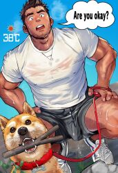 Rule 34 | 1boy, animal collar, arm hair, bara, black shorts, blue sky, brown hair, bulge, collar, covered erect nipples, dog, english text, facial hair, highres, leash, looking down, male focus, muscular, muscular male, open mouth, original, pectorals, shiba inu, shirt, shoes, short hair, shorts, sideburns, sky, sneakers, solo, speech bubble, squatting, steam, steaming body, stick, suamaru, sweat, thick eyebrows, thick thighs, thighs, wet, wet clothes, wet shirt