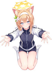 Rule 34 | 1girl, animal ear fluff, animal ears, black jacket, black shorts, blue archive, blue eyes, bow, cat ears, cat girl, commentary request, flower, from above, gym shorts, gym uniform, hair between eyes, hair bow, hair flower, hair ornament, hair ribbon, hairband, halo, highres, imminent hug, jacket, kneehighs, long hair, long sleeves, looking at viewer, looking up, low ponytail, mari (blue archive), mari (track) (blue archive), multicolored clothes, multicolored jacket, official alternate costume, orange hair, rangtori, reaching, reaching towards viewer, ribbon, seiza, shorts, sidelocks, simple background, sitting, smile, socks, solo, track jacket, two-tone jacket, white socks, zipper