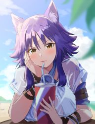 Rule 34 | 1girl, animal ears, bikini, blue bikini, blue hair, blue sky, blush, bracelet, breast rest, breasts, brown eyes, day, drinking, drinking straw, hair between eyes, halterneck, jewelry, large breasts, looking at viewer, makoto (princess connect!), makoto (summer) (princess connect!), medium hair, messy hair, outdoors, parted lips, princess connect!, see-through, shirt, sky, solo, swimsuit, upper body, wet, wet clothes, wet shirt, white shirt, wolf ears, yamabuki0