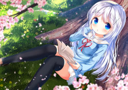 Rule 34 | 1girl, black thighhighs, blue cardigan, blue eyes, blurry, blurry foreground, blush, book, branch, brown footwear, cardigan, cherry blossoms, chestnut mouth, chinomaron, commentary request, day, depth of field, feet out of frame, fingernails, flower, gochuumon wa usagi desu ka?, grass, hair ornament, hoto cocoa&#039;s school uniform, kafuu chino, loafers, long hair, looking at viewer, neck ribbon, on grass, open book, outdoors, parted lips, pink flower, pleated skirt, red ribbon, ribbon, sailor collar, school uniform, serafuku, shoes, silver hair, sitting, skirt, solo, thighhighs, tree, very long hair, white sailor collar, white skirt, x hair ornament