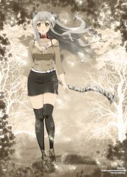 Rule 34 | 1girl, animal ears, black thighhighs, breasts, casual, cleavage, collar, expressionless, grey hair, highres, kimura shigetaka, long hair, original, skirt, solo, tail, thighhighs, tiger ears, tiger tail, walking, wind, yellow eyes
