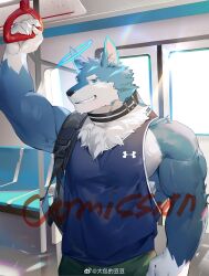 Rule 34 | 1boy, animal ears, bara, blue fur, blue halo, bus interior, commission, cowboy shot, furry, furry male, grin, halo, highres, icelernd, large pectorals, looking at viewer, male focus, muscular, muscular male, original, pectorals, shirt, short hair, sidepec, sleeveless, sleeveless shirt, smile, solo, sunlight, thick eyebrows, two-tone fur, wolf boy, wolf ears